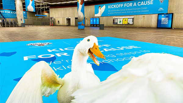 Aflac Duck In Action
