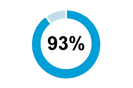 93 percent icon